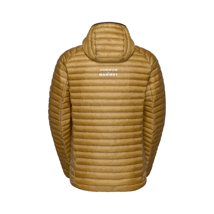 アソス×マムート エナジー インサレーション フーデッド ジャケット bronze ash