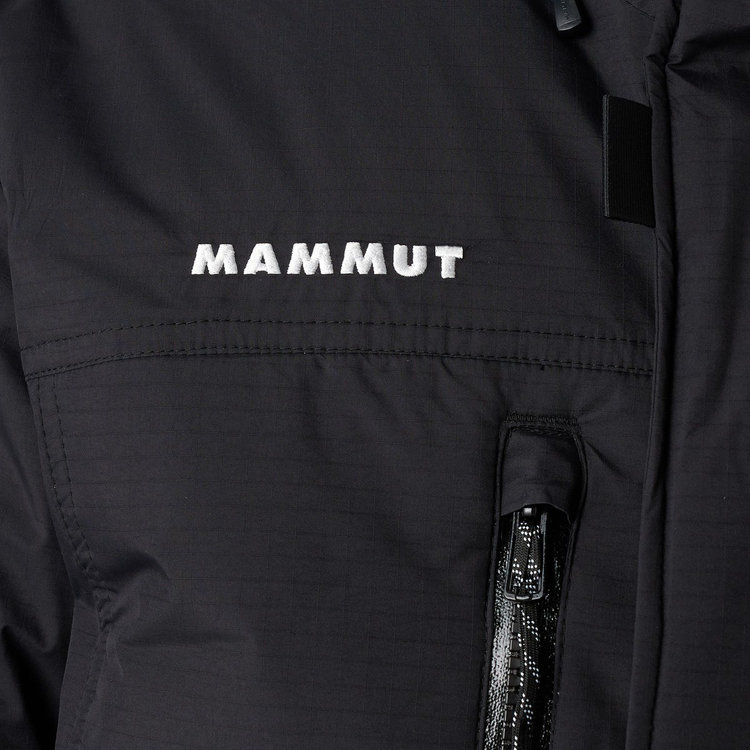 アークティック インサレーション フーデッド パーカー アジアンフィット black