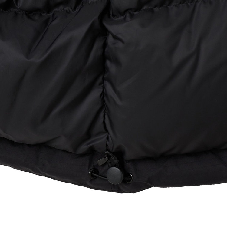 アークティック インサレーション フーデッド パーカー アジアンフィット black