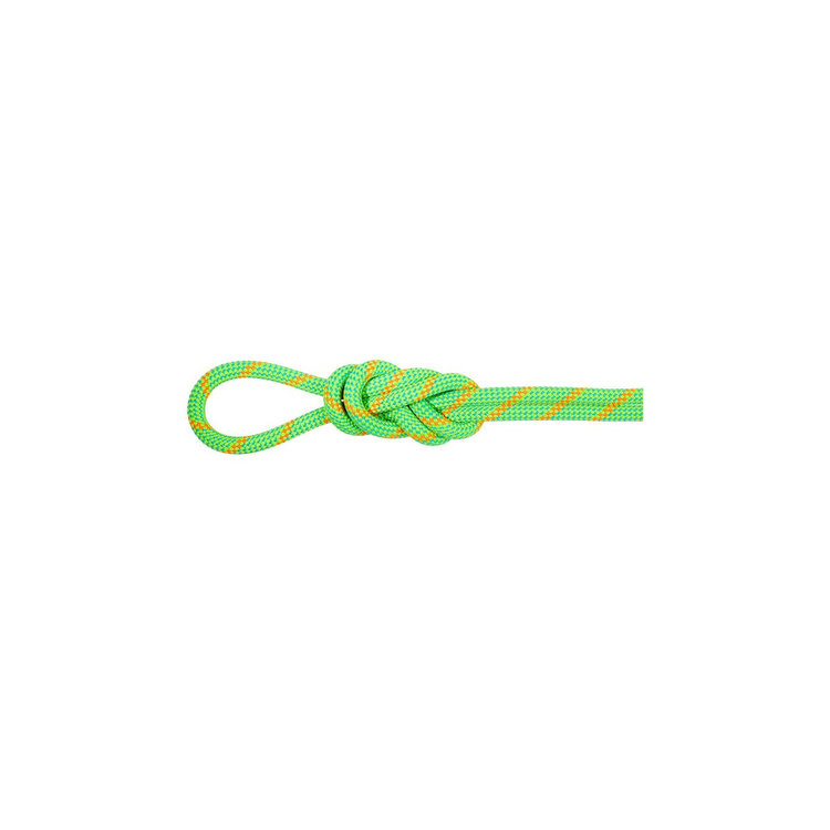 8.0 アルパイン エコ ドライ ロープ 70m neon green-vibrant orange