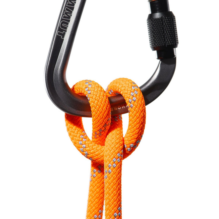 9.5 アルパイン ドライ ロープ 70m<br> vibrant orange-zen