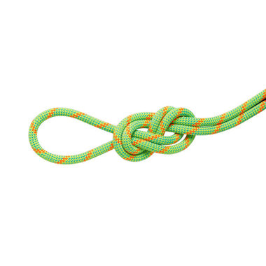 8.0 アルパイン ドライ ロープ 30m