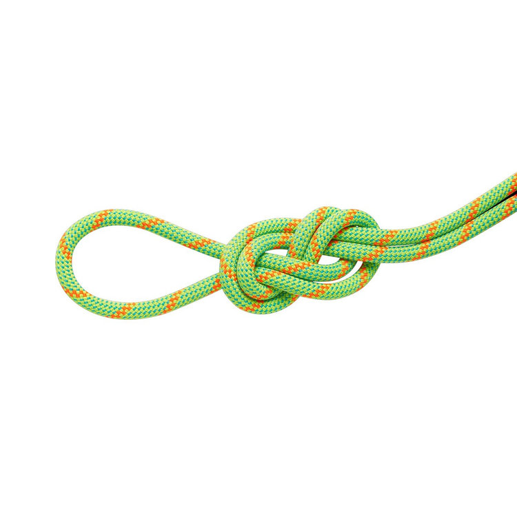 8.0 アルパイン ドライ ロープ 30m assorted