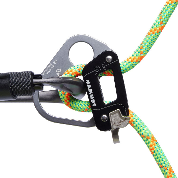 8.0 アルパイン ドライ ロープ 30m assorted