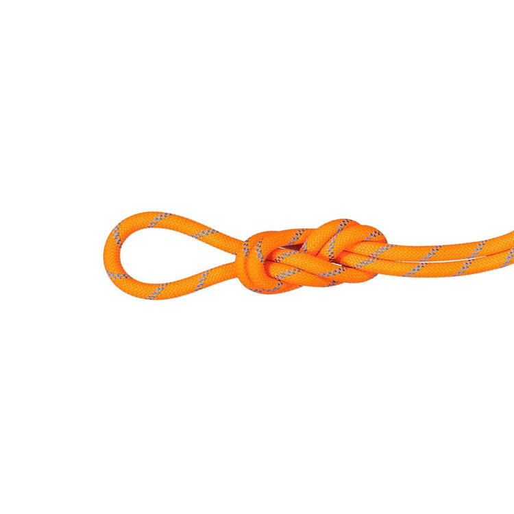 8.7 アルパイン センダー ドライ ロープ Dry Standard、 vibrant orange-ocean