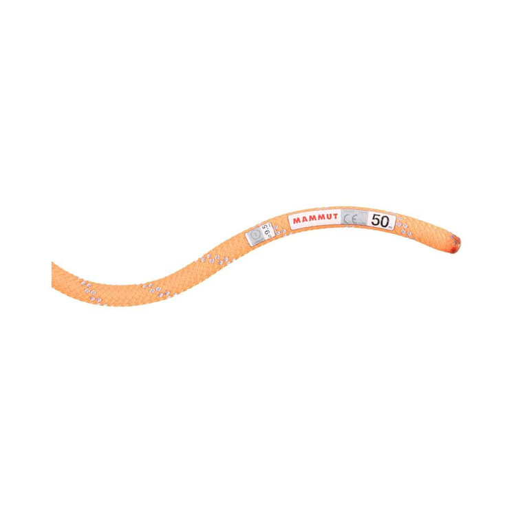 9.5 アルパイン ドライ ロープ Dry Standard、 safety orange-zen