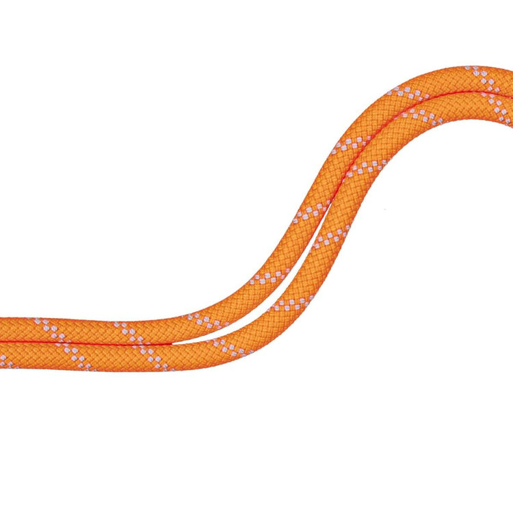 9.5 アルパイン ドライ ロープ Dry Standard、 safety orange-zen