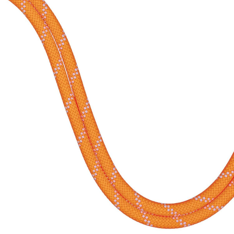 9.5 アルパイン ドライ ロープ Dry Standard、 safety orange-zen