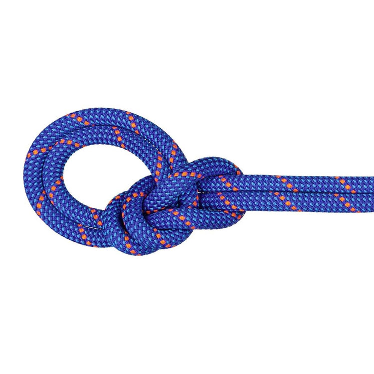 9.5 クラッグ ドライ ロープ Dry Standard, blue-ocean