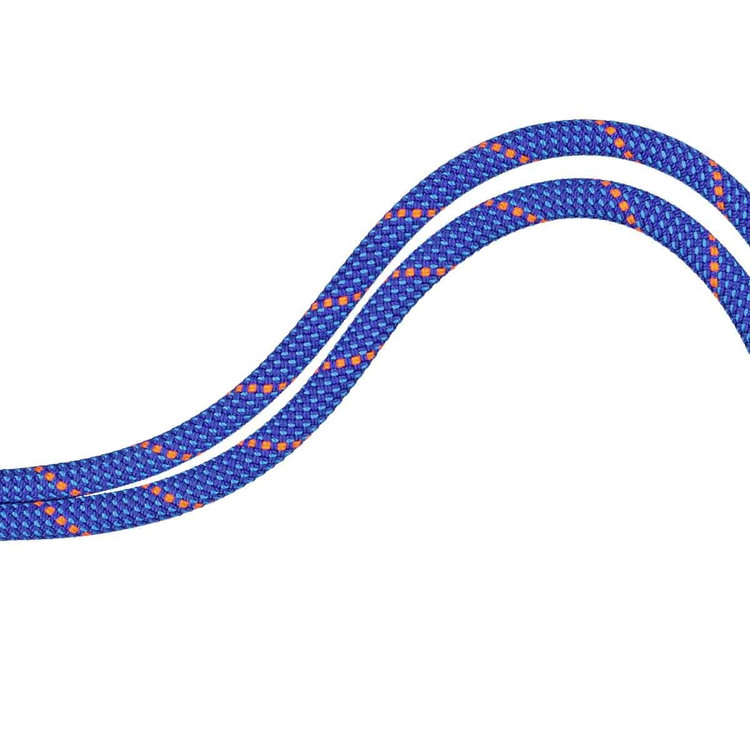 9.5 クラッグ ドライ ロープ Dry Standard, blue-ocean