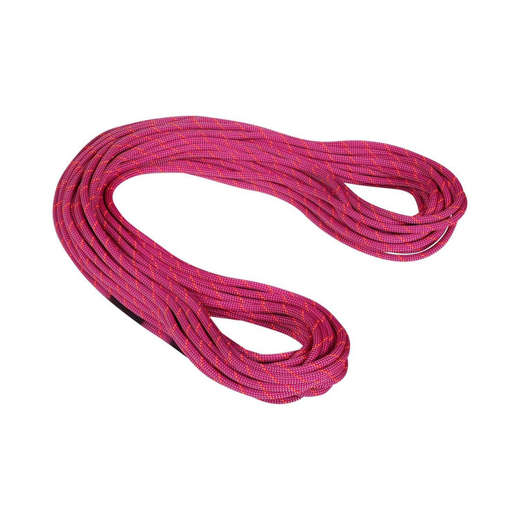 9.5 クラッグ ドライ ロープ Dry Standard、 pink-zen