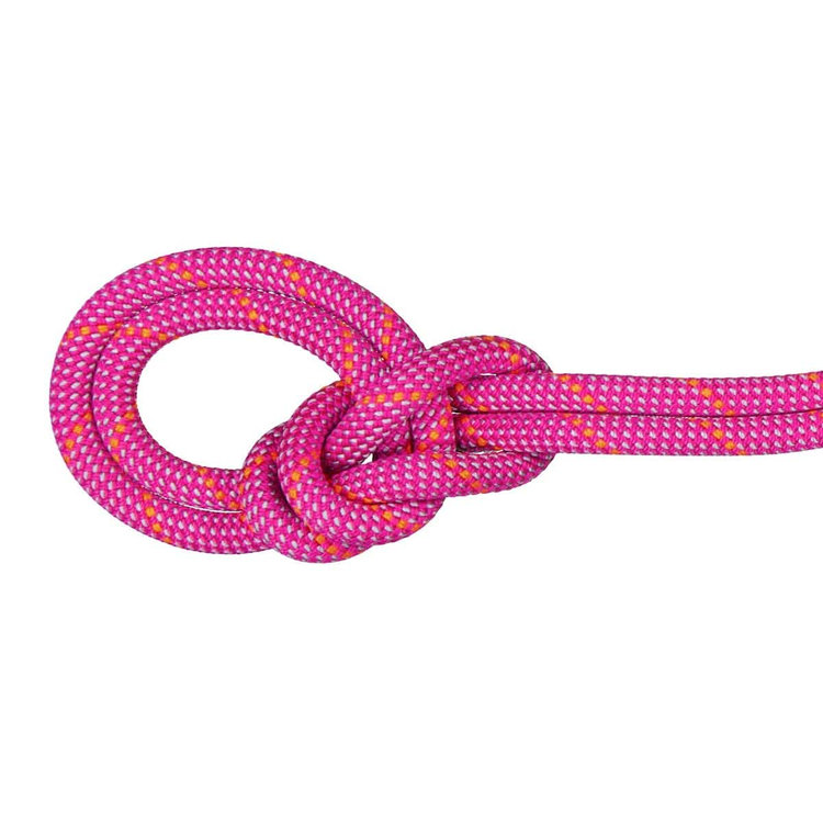 9.5 クラッグ ドライ ロープ Dry Standard、 pink-zen
