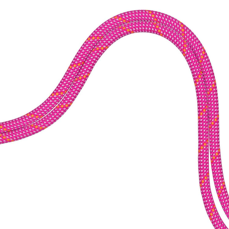 9.5 クラッグ ドライ ロープ Dry Standard、 pink-zen