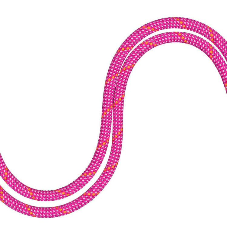 9.5 クラッグ ドライ ロープ Dry Standard、 pink-zen