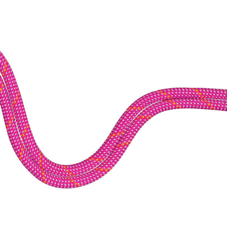 9.5 クラッグ ドライ ロープ Dry Standard、 pink-zen