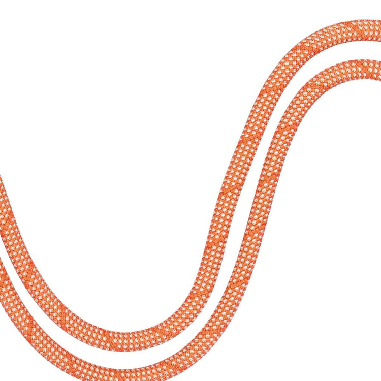 9.8 クラッグ クラシック ロープ Classic Standard、 orange-white