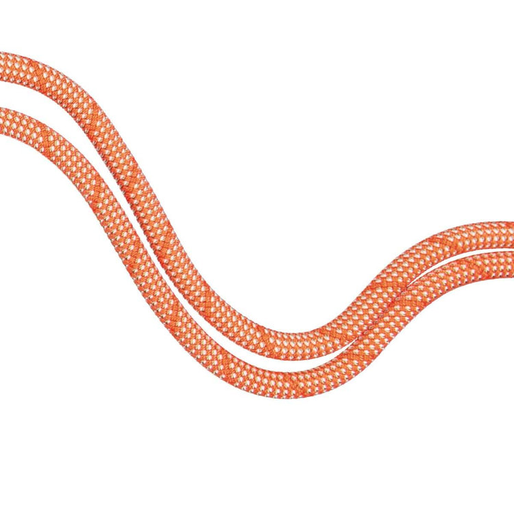 9.8 クラッグ クラシック ロープ Classic Standard、 orange-white