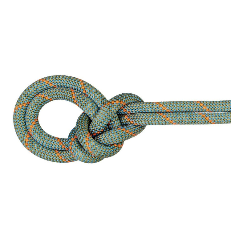9.9 クラッグ ワークホース ドライ ロープ Dry Standard、 boa-ocean