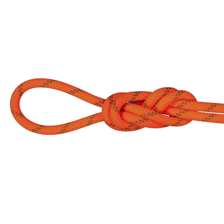 8.0 アルパイン ドライ ロープ Dry Standard、 safety orange-boa