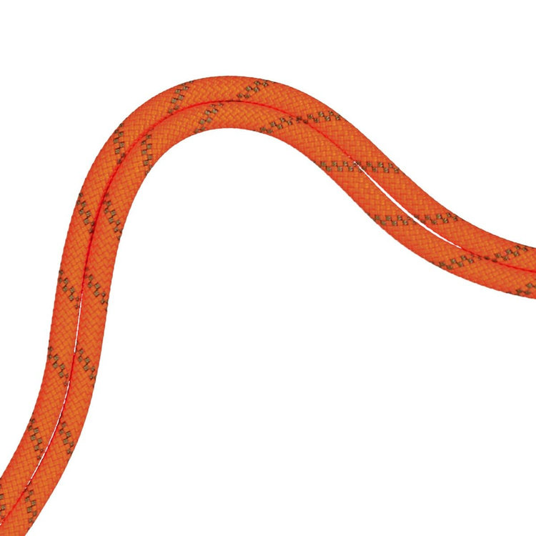 8.0 アルパイン ドライ ロープ Dry Standard、 safety orange-boa