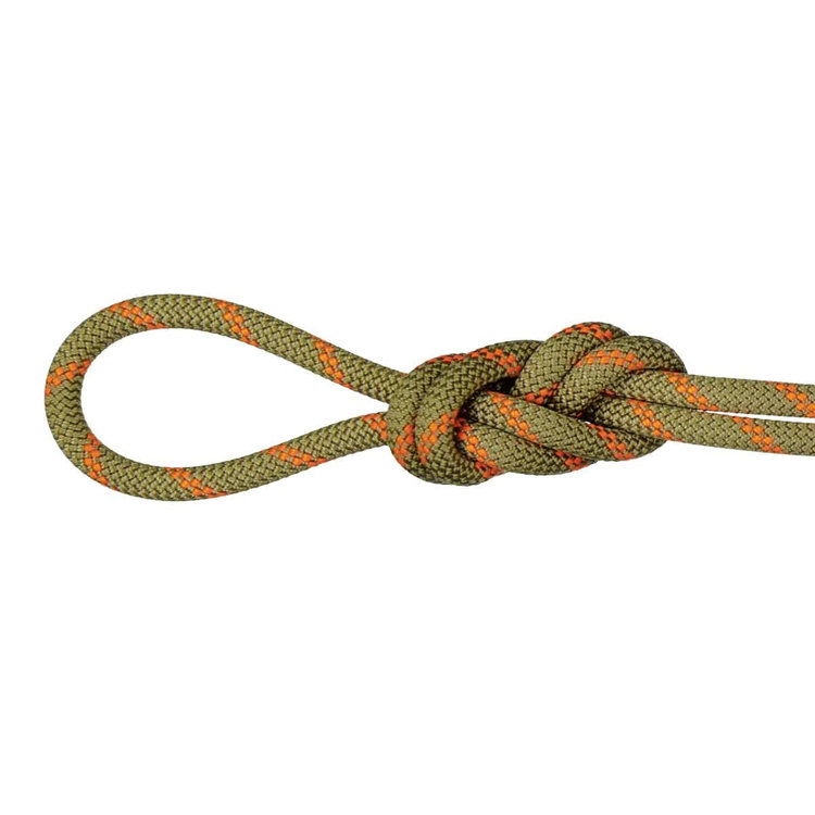 8.0 アルパイン ドライ ロープ Dry Standard、 boa-safety orange