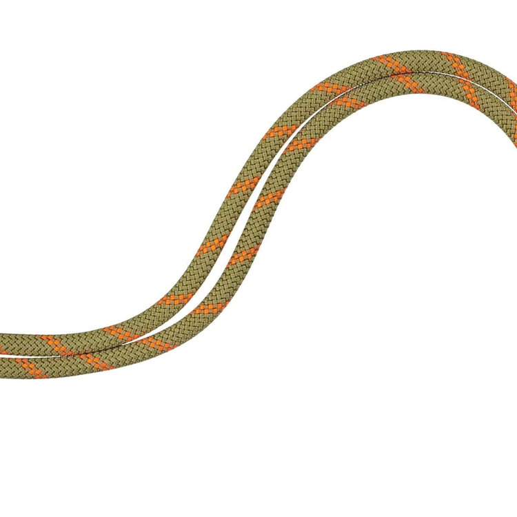 8.0 アルパイン ドライ ロープ Dry Standard、 boa-safety orange