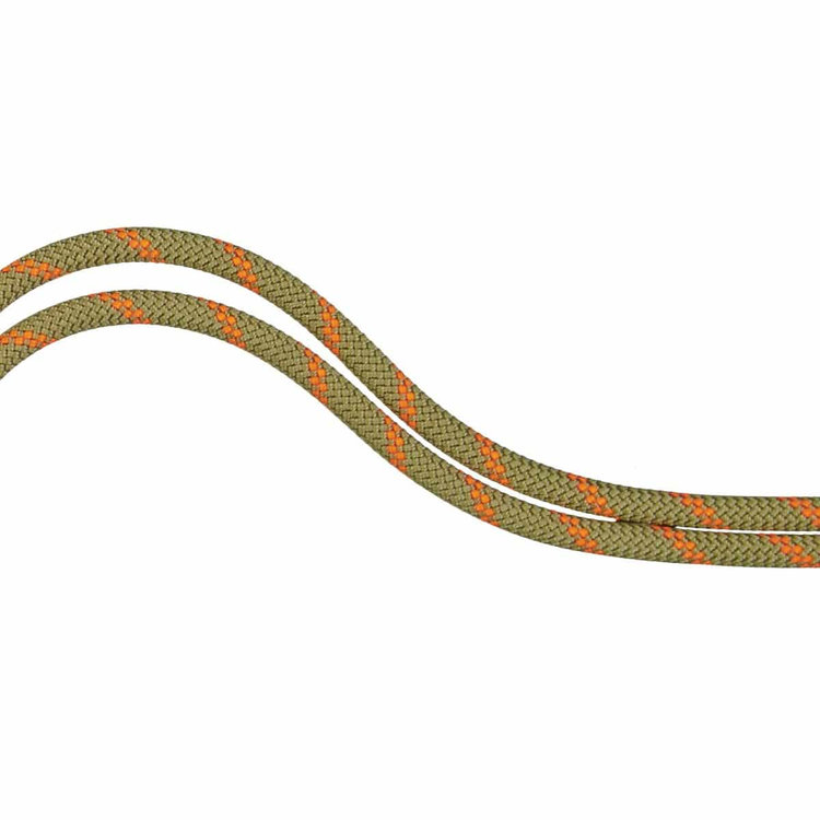 8.0 アルパイン ドライ ロープ Dry Standard、 boa-safety orange