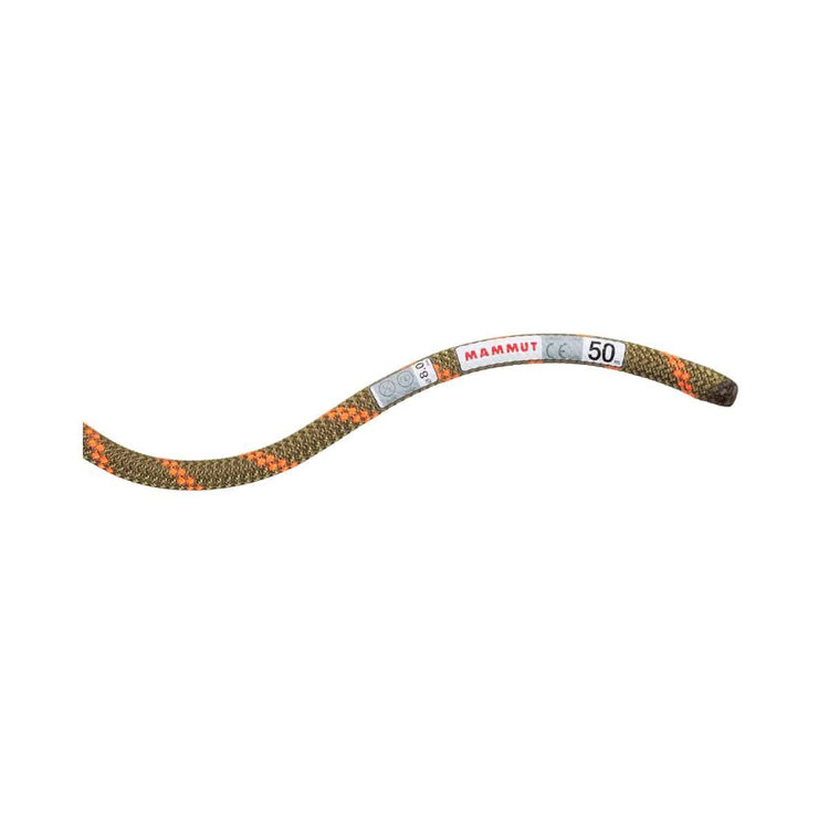 8.0 アルパイン ドライ ロープ Dry Standard、 boa-safety orange