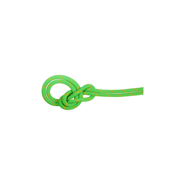 9.5 クラッグ エコ ドライ ロープ 70m neon green-ocean