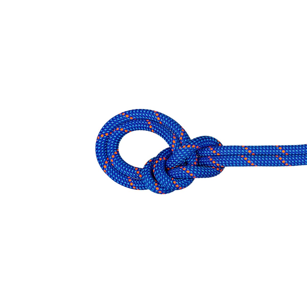 Mammut - 新品 長さ50m 直径9.9mm マムート クライミング ロープ 9.8クラッグ クラシック ロープ 50m（9.8 Crag Classic Rope 50m