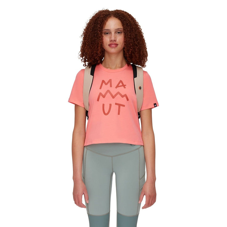 セオン トランスポーター 15 savannah