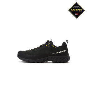 アルナスカ 4 ロー レザー ゴアテックス