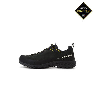 アルナスカ 4 ロー レザー ゴアテックス