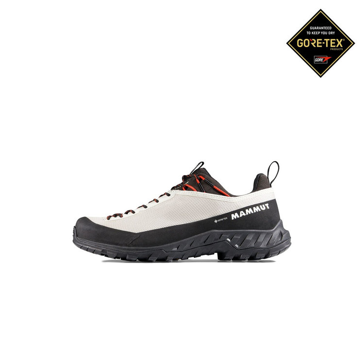 アルナスカ ４ ロー ゴアテックス moonbeam-mammut red