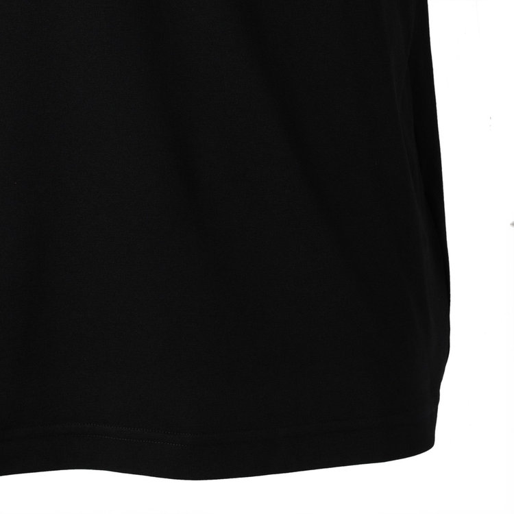 QD 富士山 プリント Tシャツ アジアンフィット black