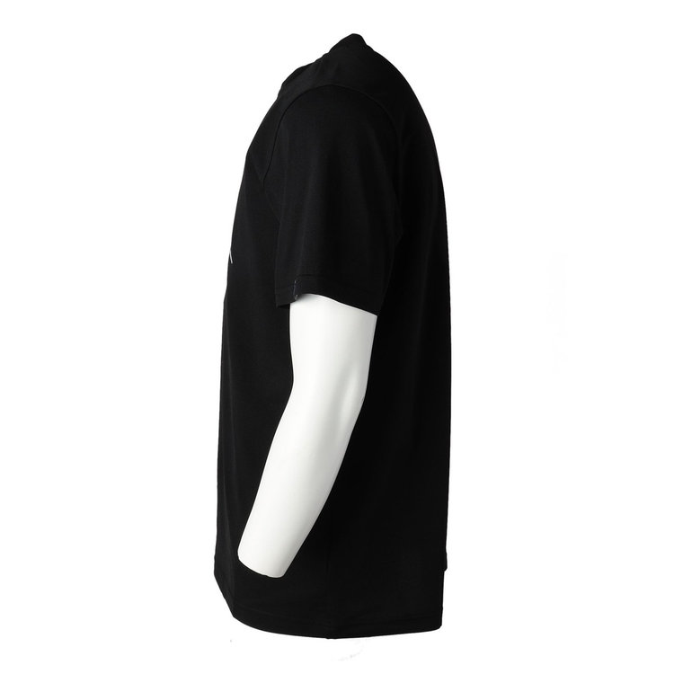 QD 富士山 プリント Tシャツ アジアンフィット black