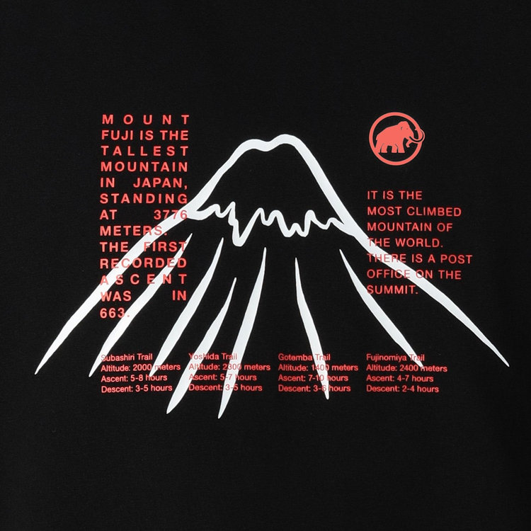 QD 富士山 プリント Tシャツ アジアンフィット black