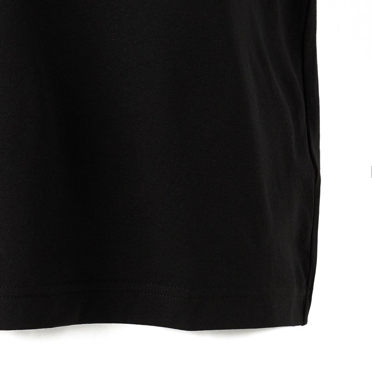 QD 剱岳 プリント Tシャツ アジアンフィット black