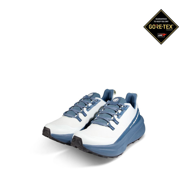 エナジー ハイク ロー ゴアテックス silver sage-dark strata