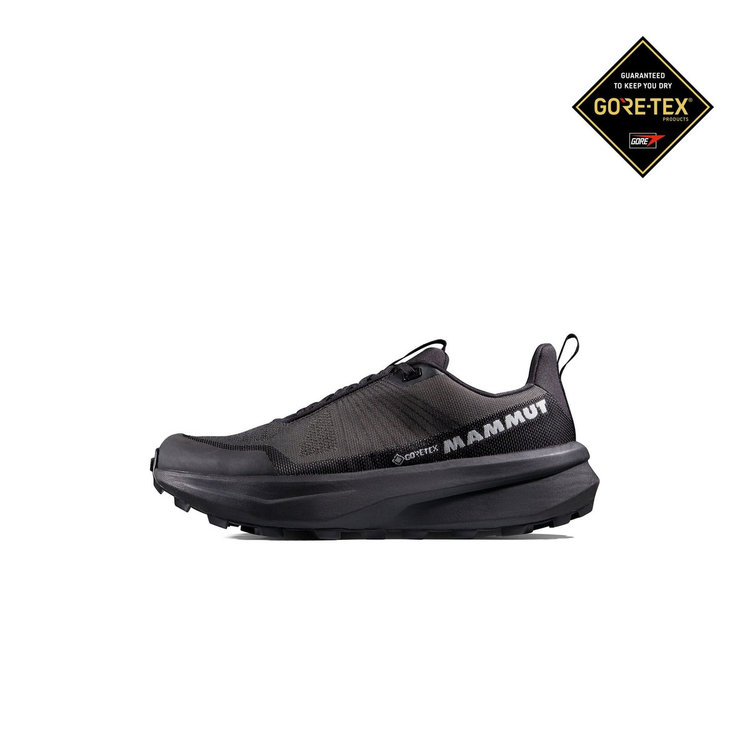 エナジー マウンテン ロー ゴアテックス iguana-black