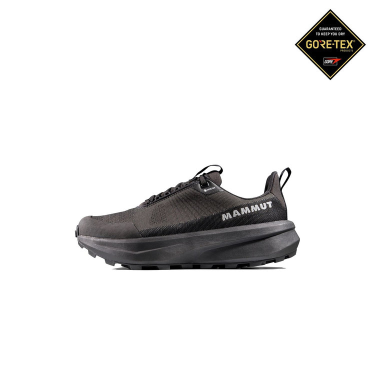 エナジー マウンテン ロー ゴアテックス iguana-black