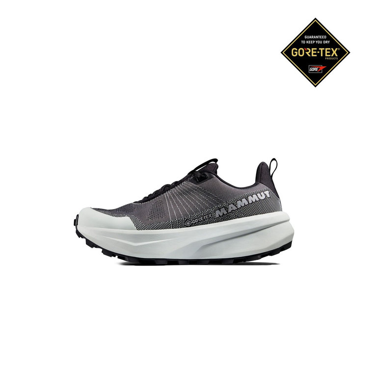 エナジー マウンテン ロー ゴアテックス black-silver sage