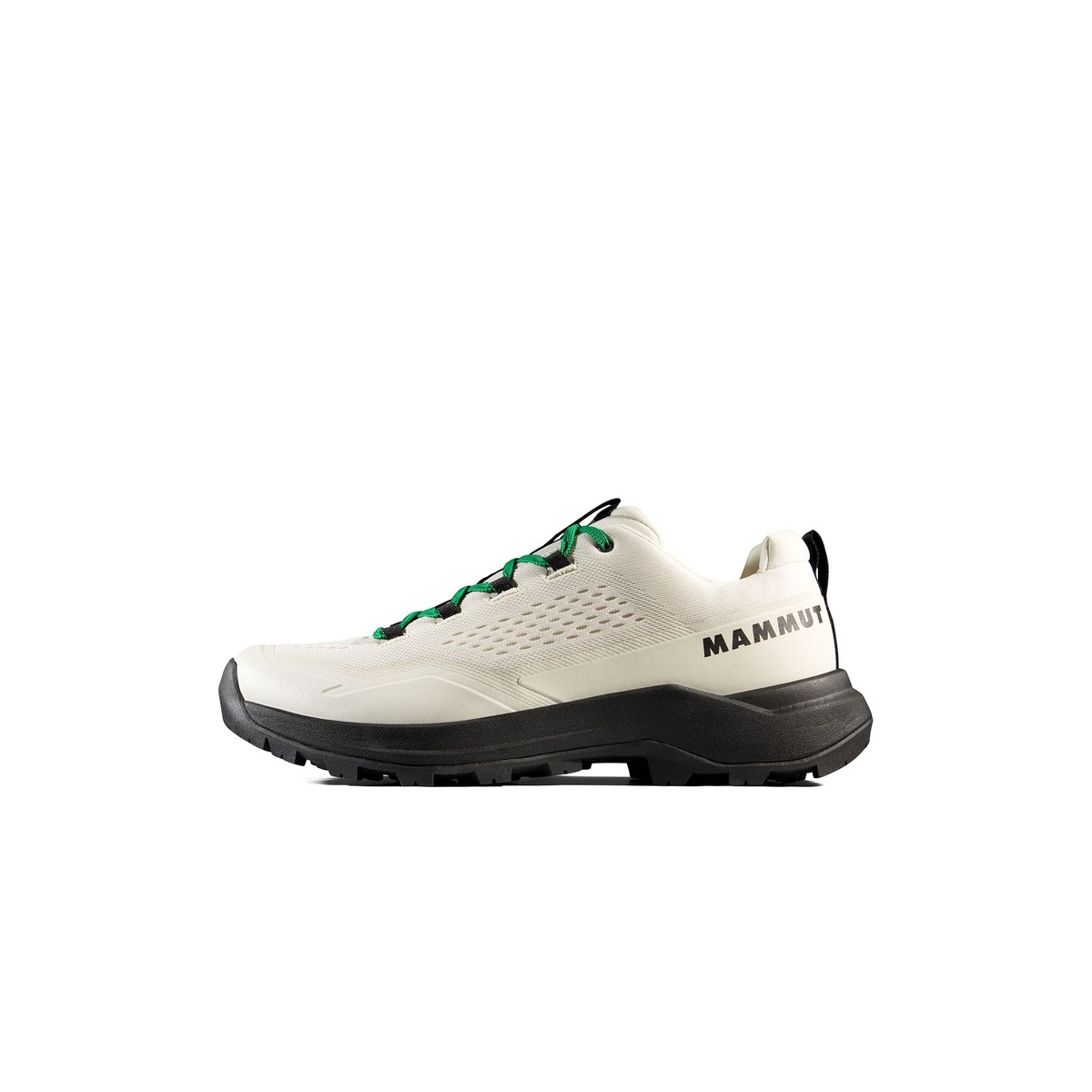 アルナスカ 4 ロー ゴアテックス(Alnasca IV Low GTX Men)(3020 アルナスカ 4 ロー ゴアテックス(Alnasca IV Low GTX Men)(3020
