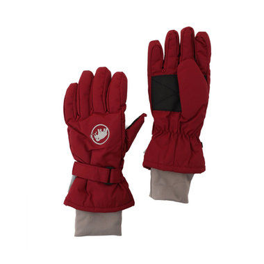 フォール ライン グローブ