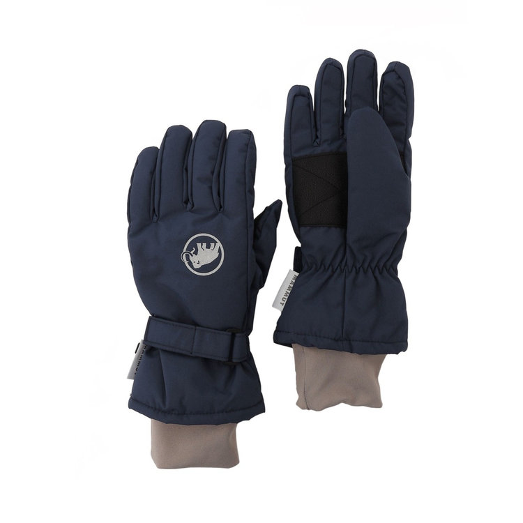 フォール ライン グローブ