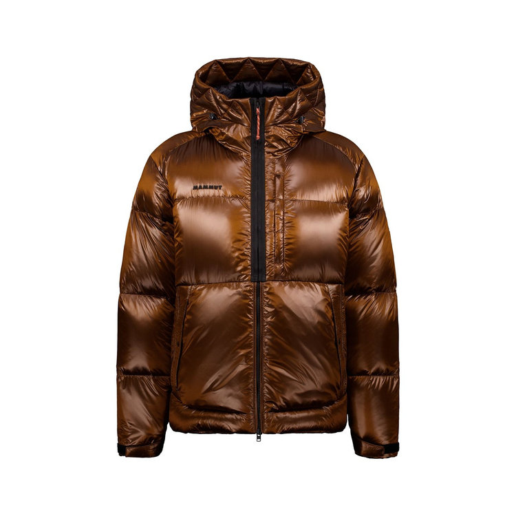 アイシーグロー 2.0 インサレーション フーデッド ジャケット アジアンフィット autumn larice