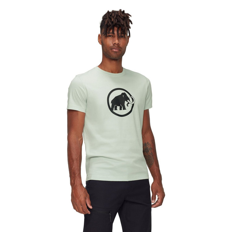 マムート コア Tシャツ アジアンフィット  クラシック silver sage