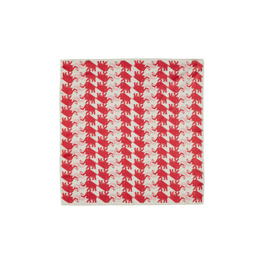 マムート×ケーボン ディレティシマ シルク スカーフ