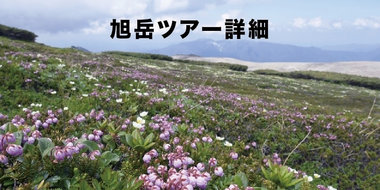 「日本の守るべき美しい山景色」登山ツアーキャンペーン【北海道・旭岳】登山ツアー概要