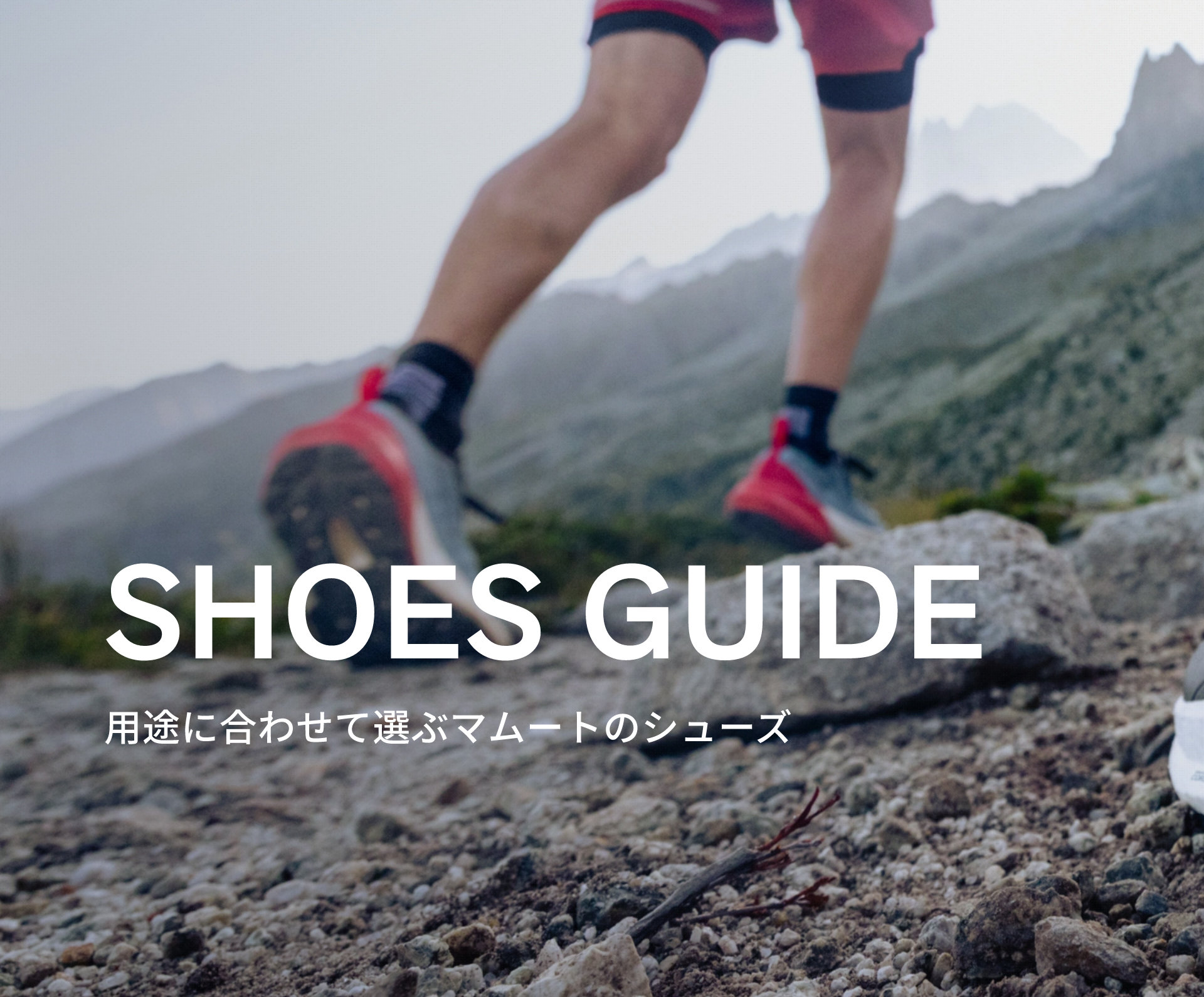 SHOES GUIDE